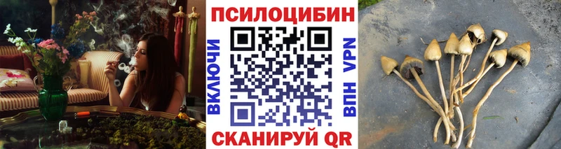Купить закладки  Городище  Галлюциногенные грибы Psilocybine cubensis 